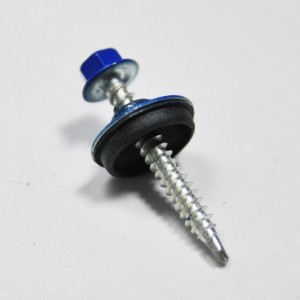 Screw with painted head,  washer